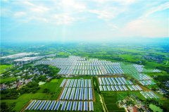 懷來(lái)中節(jié)能光伏農(nóng)業(yè)科技大棚電站