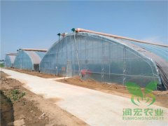 拱棚溫室
